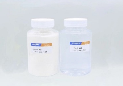 স্যা-পেকশনশন: