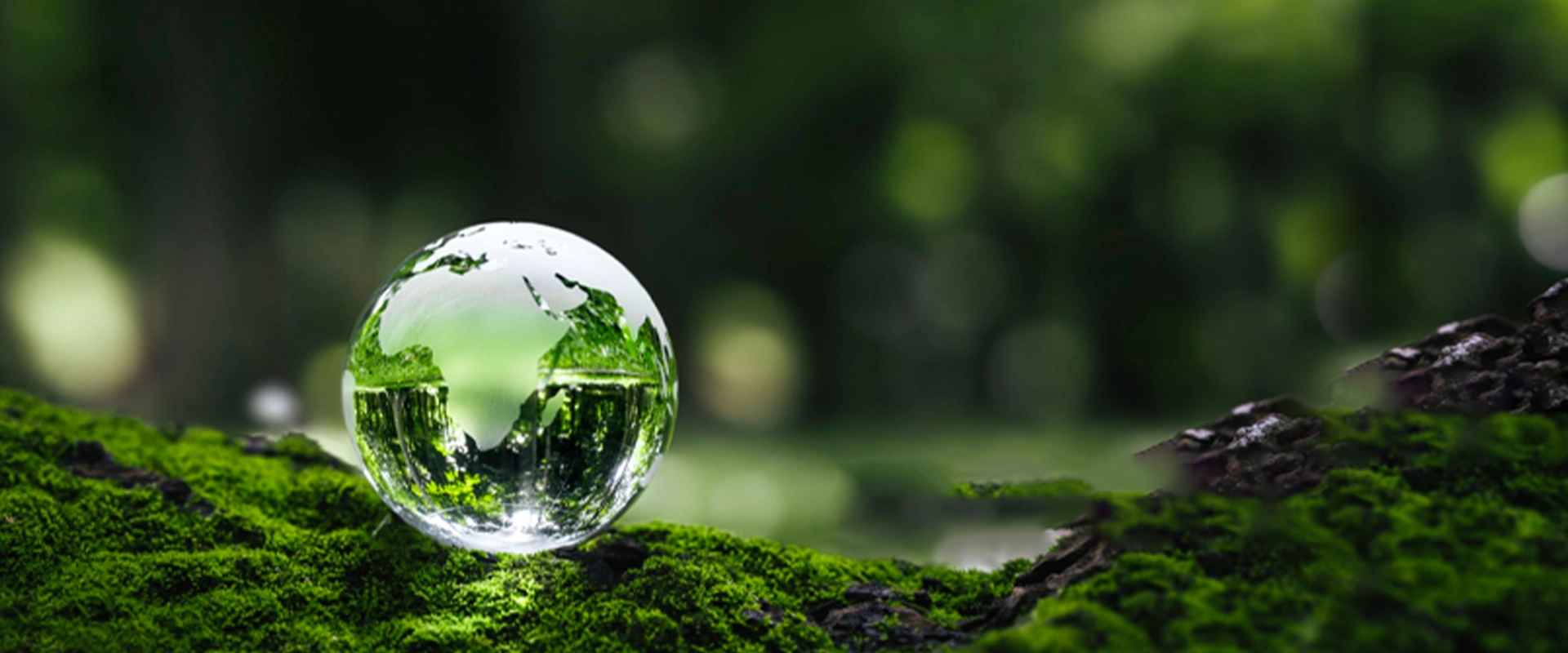 এসবুর্গিউরিয়ার এন-একটি-এই-এইচ-এর-এইচ-এর-এর-এর-এর-এর-এর-এর-এর-এর-এইচ-এর-এইচ-এর-এইচ-এর-এইচ-এর-এইচ-এইচ-এর।