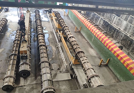 ক্যাসিস্টামোমেন্টস