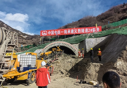 টেকসোনেল গ্যানজিয়ারিং