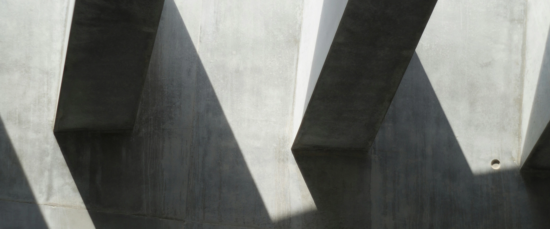 হোয়াইট ডাইটআইটআইটআইএম-এম-সিআইংরিজিনিংয়ের অ্যান্ড লিভিগেটরিনিংয়ের?