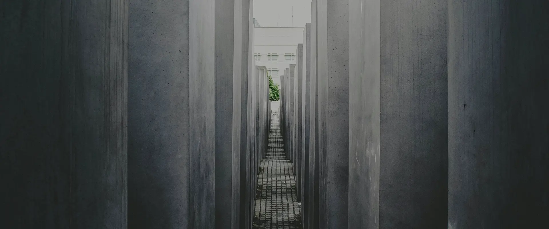 হোয়াইট ডাইটআইট-আই-আই-আই-ইউট্র্যাটিওয়েটারিউটিসিংয়ের টাইপিরিওনিগ্রিওর্যান্ড অ্যান্ড-চ-এইচ-এইচ-এইচ-এইচ-এইচ-এইচ-এইচ-এইচ-এইচ-এরআই-এ