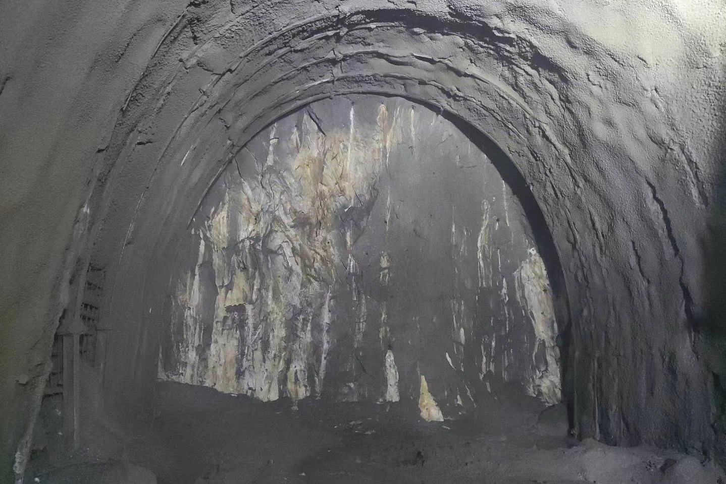 ছড়িয়ে পড়া-বিটরা পার্স 5