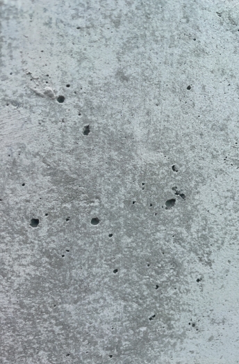 Appearance of field test pier