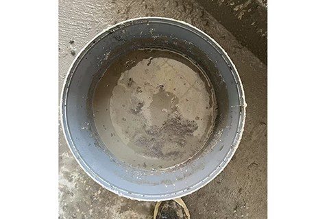 ওয়েউউসইকর্ডড